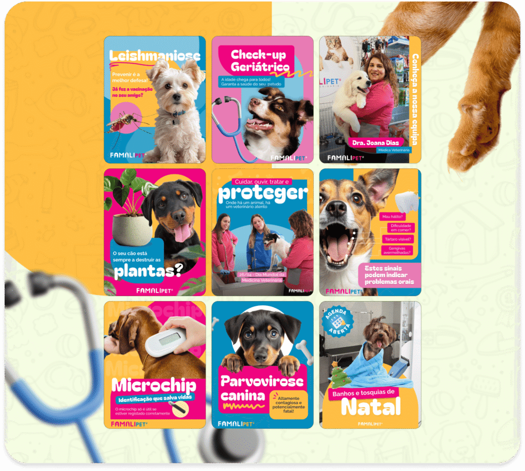 Grade com nove posts criados para redes sociais de clínica veterinária, com conteúdos educativos e institucionais sobre check-up anual de pets, comportamento de gatos, estágios da vida de um cão, alimentação adequada e curiosidades sobre animais.