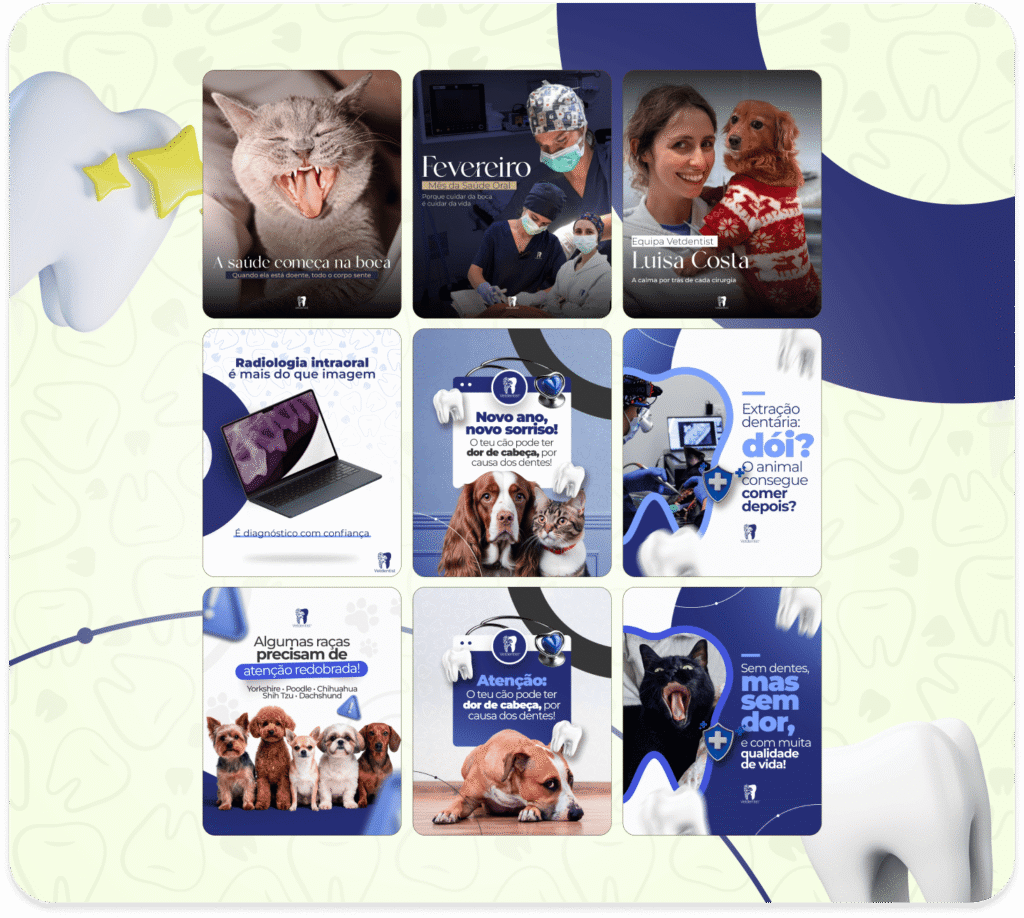 Grade com nove posts criados para redes sociais de clínica veterinária, abordando temas como saúde bucal de pets, radiologia intraoral, cuidados odontológicos, curiosidades sobre raças e apresentação da equipe veterinária.