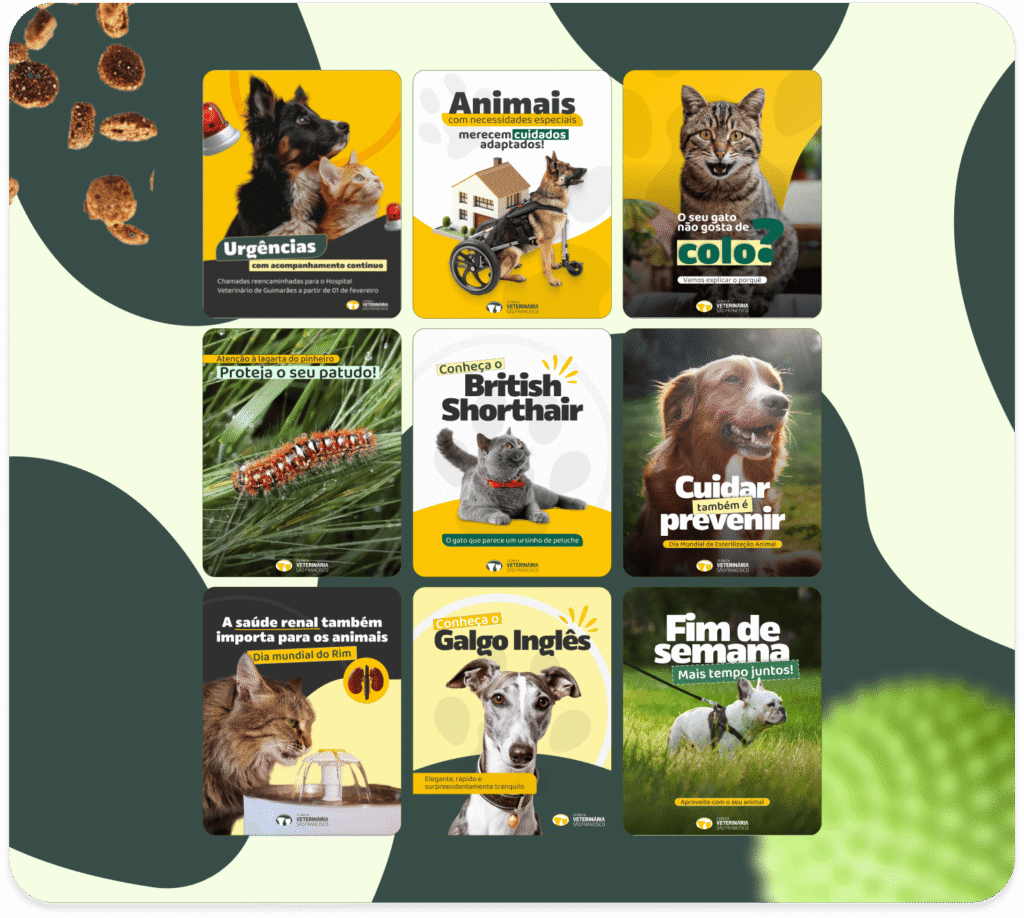 Grade com nove posts informativos criados para redes sociais da Clínica Veterinária São Francisco, com conteúdos educativos sobre saúde animal, prevenção de doenças, curiosidades sobre raças de cães e gatos, cuidados especiais para pets e alertas veterinários.